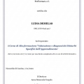 Ingrandire l'immagine: certificate 2