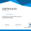 Ingrandire l'immagine: certificate 10