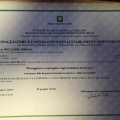 Ingrandire l'immagine: certificate 2