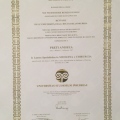 Ingrandire l'immagine: certificate 1