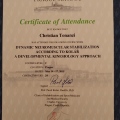 Ingrandire l'immagine: certificate 10