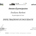 Ingrandire l'immagine: certificate 4