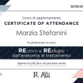 Ingrandire l'immagine: certificate 8