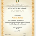 Ingrandire l'immagine: certificate 2