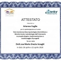 Ingrandire l'immagine: certificate 2