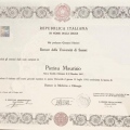 Ingrandire l'immagine: certificate 1