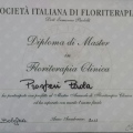 Ingrandire l'immagine: certificate 13