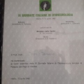 Ingrandire l'immagine: certificate 3