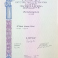 Ingrandire l'immagine: certificate 1