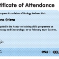 Ingrandire l'immagine: certificate 6