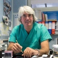 Ernesto Claar, gastroenterologo Napoli
