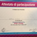 Ingrandire l'immagine: certificate 3