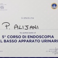 Ingrandire l'immagine: certificate 5