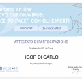 Ingrandire l'immagine: certificate 4