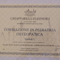 Ingrandire l'immagine: certificate 12