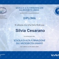 Ingrandire l'immagine: certificate 9