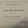 Ingrandire l'immagine: certificate 8