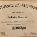 Ingrandire l'immagine: certificate 7