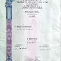 Ingrandire l'immagine: certificate 1