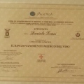 Ingrandire l'immagine: certificate 11