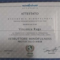 Ingrandire l'immagine: certificate 24