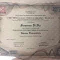 Ingrandire l'immagine: certificate 2