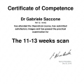 Ingrandire l'immagine: certificate 1