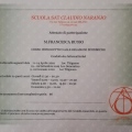 Ingrandire l'immagine: certificate 3