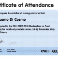 Ingrandire l'immagine: certificate 3