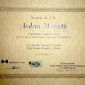 Ingrandire l'immagine: certificate 8