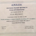Ingrandire l'immagine: certificate 6