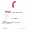 Ingrandire l'immagine: certificate 41