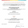 Ingrandire l'immagine: certificate 1