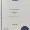Ingrandire l'immagine: certificate 7