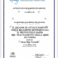 Ingrandire l'immagine: certificate 6