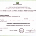 Ingrandire l'immagine: certificate 4