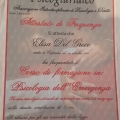 Ingrandire l'immagine: certificate 3