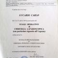 Ingrandire l'immagine: certificate 10