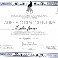 Ingrandire l'immagine: certificate 8