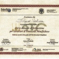 Ingrandire l'immagine: certificate 1