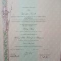 Ingrandire l'immagine: certificate 9