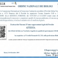 Ingrandire l'immagine: certificate 6