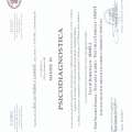 Ingrandire l'immagine: certificate 2