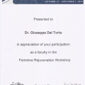 Ingrandire l'immagine: certificate 9