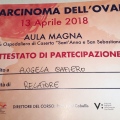 Ingrandire l'immagine: certificate 4