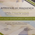 Ingrandire l'immagine: certificate 2