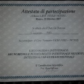 Ingrandire l'immagine: certificate 11