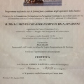 Ingrandire l'immagine: certificate 4