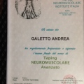 Ingrandire l'immagine: certificate 9