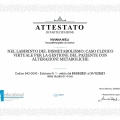 Ingrandire l'immagine: certificate 46